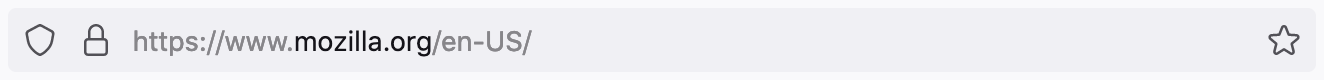 Image of the address bar input showing a URL